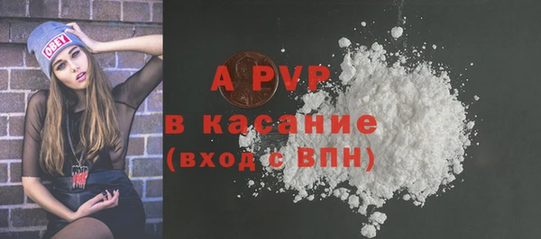 винт Инсар