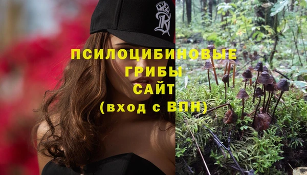 винт Инсар