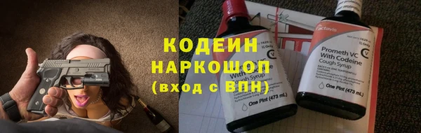 прущие грибы Иннополис