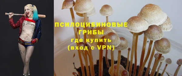 прущие грибы Иннополис