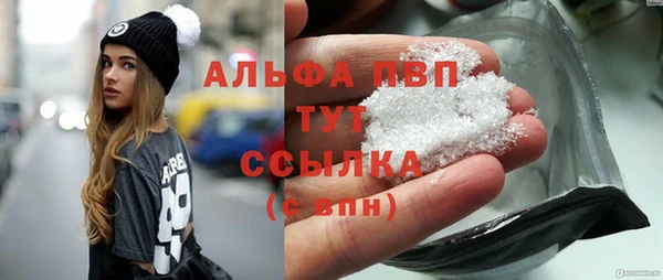 винт Инсар