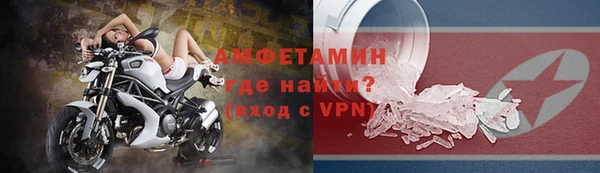 прущие грибы Иннополис