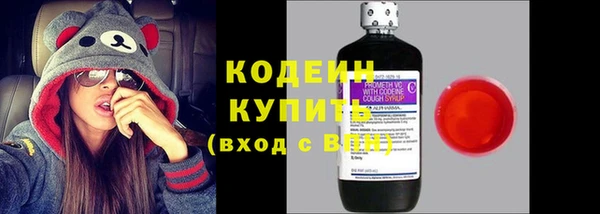 прущие грибы Иннополис