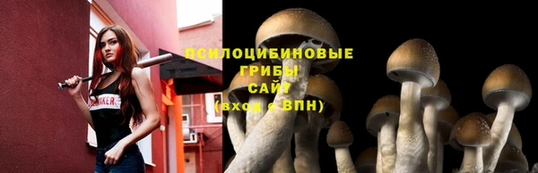 винт Инсар