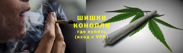 эйфоретик Инта