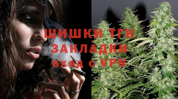 прущие грибы Иннополис