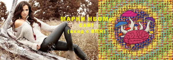 прущие грибы Иннополис