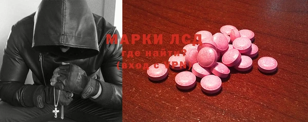 прущие грибы Иннополис